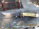Randall 3-5 stag a.jpg