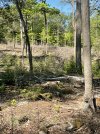 IMG_5436.jpeg