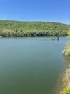IMG_5444.jpeg