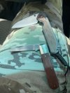 IMG_1211.jpeg
