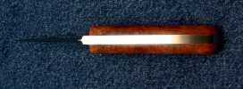 Shiv_Warden-1.jpg