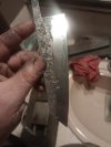 IMG_20230503_054659391.jpg