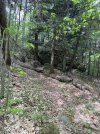 IMG_5467.jpeg