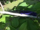 IMG_5472.jpeg