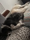 IMG_8657.jpeg
