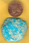 Copper Dollar 1.jpg