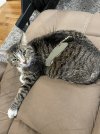 IMG_1357.jpeg