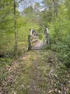 IMG_5487.jpeg