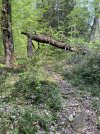 IMG_5481.jpeg