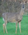 DSC_0025.JPG