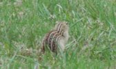 DSC_0007.JPG
