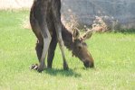 DSC_0019.JPG