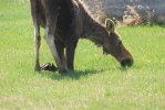 DSC_0022.JPG
