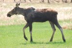 DSC_0036.JPG