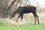 DSC_0039.JPG