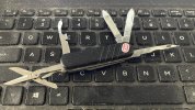 IMG_7821.jpeg