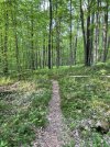 IMG_5496.jpeg