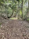 IMG_5498.jpeg