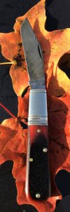 IMG_3302.jpeg