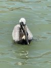 IMG_5347.jpeg