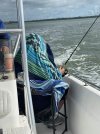 IMG_5329.jpeg