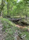 IMG_5503.jpeg