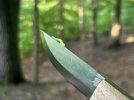 IMG_1300.jpeg