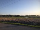 IMG_2807.JPG