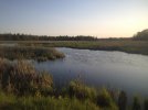 IMG_2814.JPG