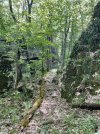 IMG_5517.jpeg