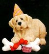 BirthdayDog-1.jpg