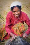 nepal-Farmer-Himalaya-rice-Sharpening.jpg