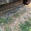 IMG_6056.jpeg
