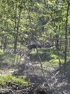 IMG_5535.jpeg