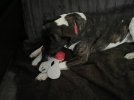 IMG_5924-compressed.jpeg