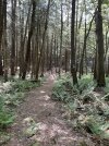 IMG_5548.jpeg