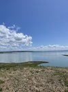 IMG_2260.jpeg