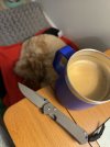 IMG_7827.jpeg
