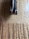 IMG_3387.JPG