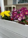 IMG_3706.jpeg