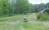 Resized_Bald_Eagle__(1)_638367148867470.jpeg