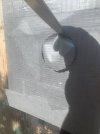 IMG_3929.jpeg