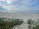 IMG_6572.jpeg
