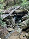 IMG_5567.jpeg