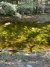 IMG_5570.jpeg