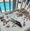 IMG_6601.jpeg