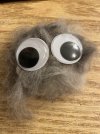 IMG_0107.jpeg