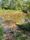 IMG_5580.jpeg