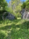 IMG_5582.jpeg