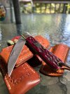 IMG_9902-compressed.jpeg